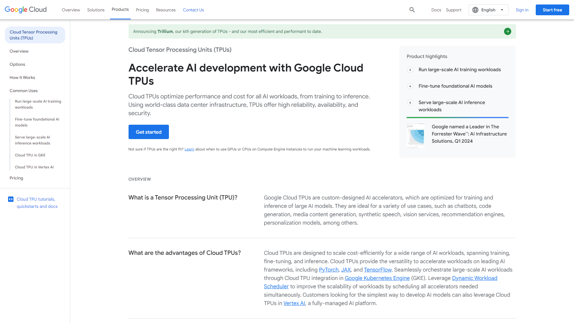 Google Cloud TPU screenshot